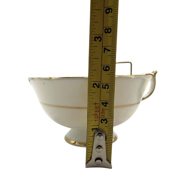 Paragon Double Warrent Yellow Forsythia Flowers Floral Tea Cup & Saucer - Picture 13 of 14